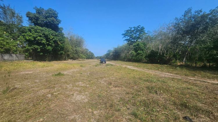 ที่ดินราคาถูกอยู่ไม่ไกลจากสนามบินภูเก็ต รูปที่ 4