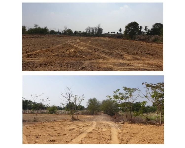 ขายที่ดิน 1 ไร่ 49ตรว. ต.สาลี อ.บางปลาม้า สุพรรณบุรี รูปที่ 4