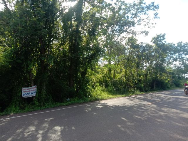 ใช่ ที่ดินทำเลสวยติดถนน ใกล้คำชะโนด3.5กม. รูปที่ 2