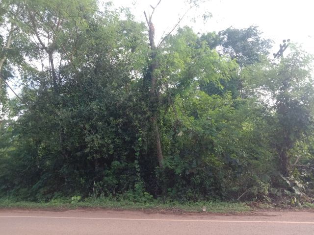 ใช่ ที่ดินสวยติดถนนหลวง ใกล้คำชะโนด 500 เมตร รูปที่ 4