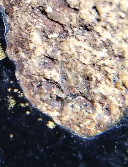 พระสมเด็จ วัดระฆัง บางขุนพรหม วัดเกศไชโย หลวงปู่ภู หลวงปู่นาค รูปที่ 8