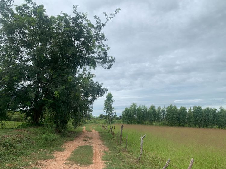 ที่ดินแม่น้ำชี 18 ไร่เศษ 1.3ล้าน เจ้าของขายเอง รูปที่ 4