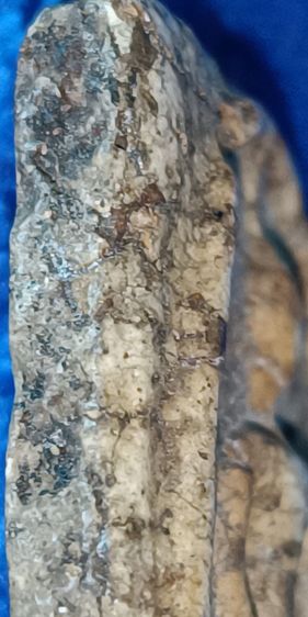 พระสมเด็จวัดระฆัง รูปที่ 8