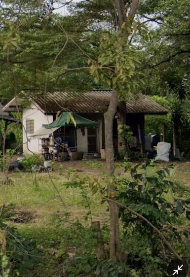 ให้เช่าบ้านในสวนขนาด2ไร่ครึ่ง คลอง6 ลำลูกกา 