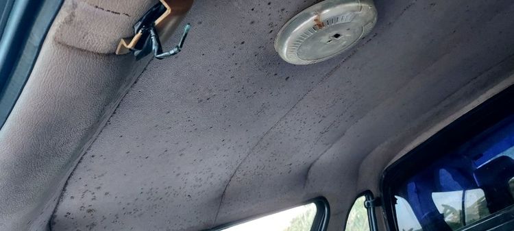 หลังคาแครี่บอย รูปที่ 14