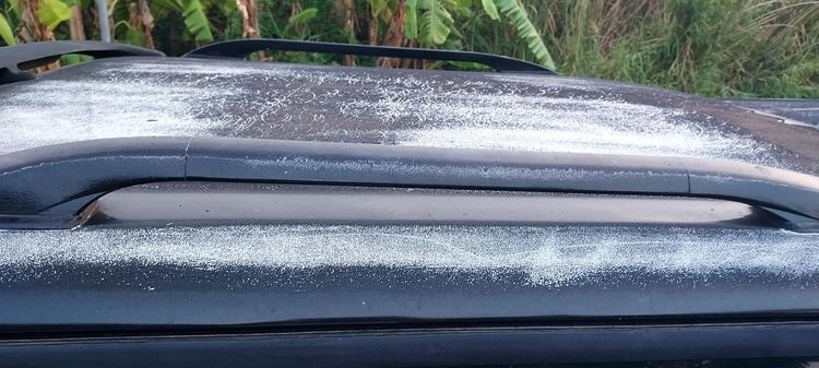 หลังคาแครี่บอย รูปที่ 10