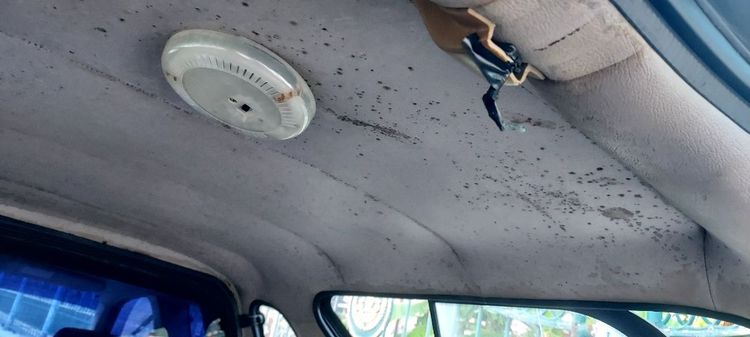 หลังคาแครี่บอย รูปที่ 13