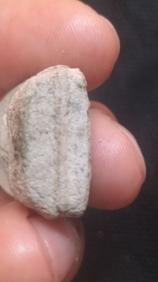 พระหลวงปู่สุขวัดโพธิ์ทรายทอง รูปที่ 9