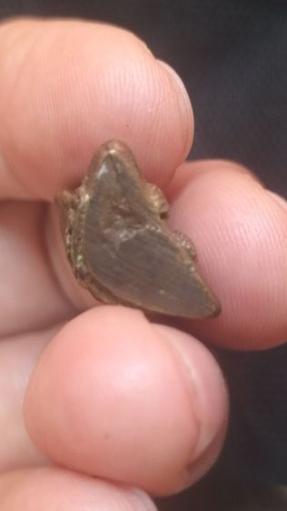 พระปิดตาหัวจรวดหลวงพ่อคูณ รูปที่ 9