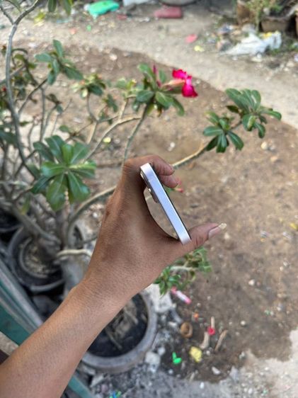 ip13 รูปที่ 10