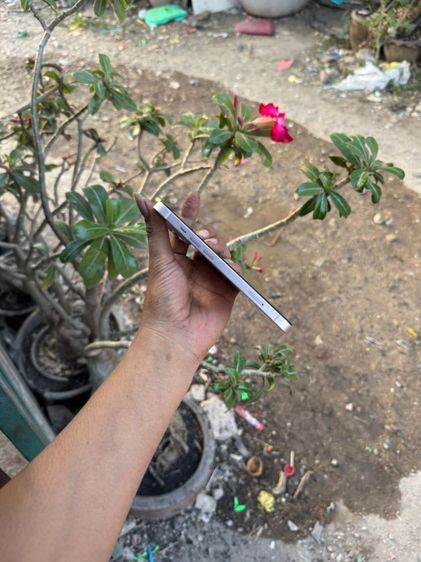 ip13 รูปที่ 9