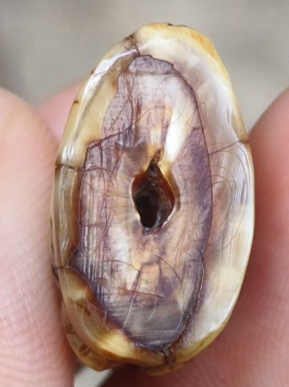 หลวงพ่อปาน รูปที่ 8