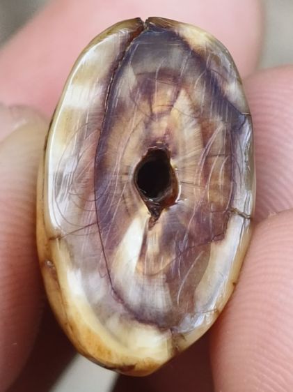 หลวงพ่อปาน รูปที่ 9