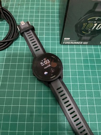 garmin forerunner 165 รูปที่ 4