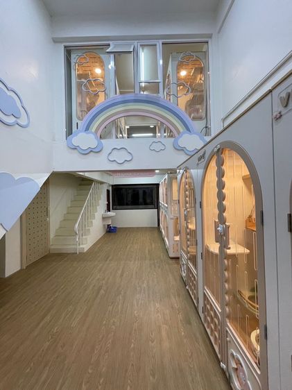 เซ้งด่วน ร้านโรงแรมแมว ขนาดใหญ่ ติด MRT ห้วยขวาง ใกล้มหาวิทยาลัยหอการค้า รูปที่ 3