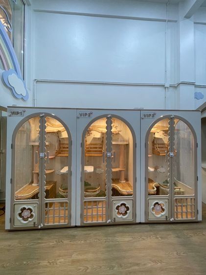 เซ้งด่วน ร้านโรงแรมแมว ขนาดใหญ่ ติด MRT ห้วยขวาง ใกล้มหาวิทยาลัยหอการค้า รูปที่ 5