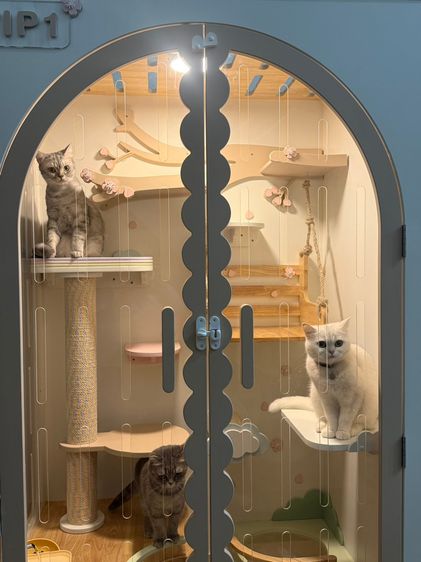 พื้นที่/ร้านขายสินค้า เซ้งด่วน ร้านโรงแรมแมว ขนาดใหญ่ ติด MRT ห้วยขวาง ใกล้มหาวิทยาลัยหอการค้า