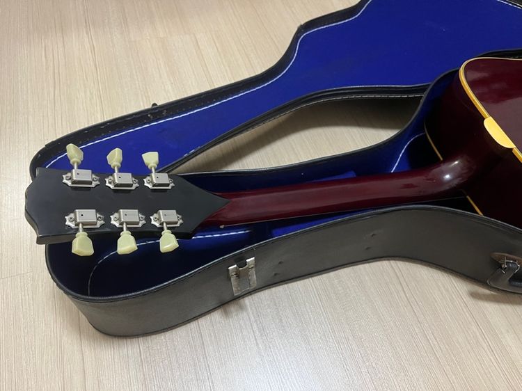 Pearl Hummingbird made by Hayashi รูปที่ 6