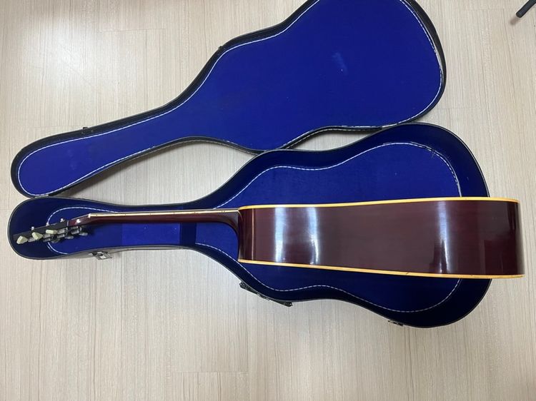 Pearl Hummingbird made by Hayashi รูปที่ 8