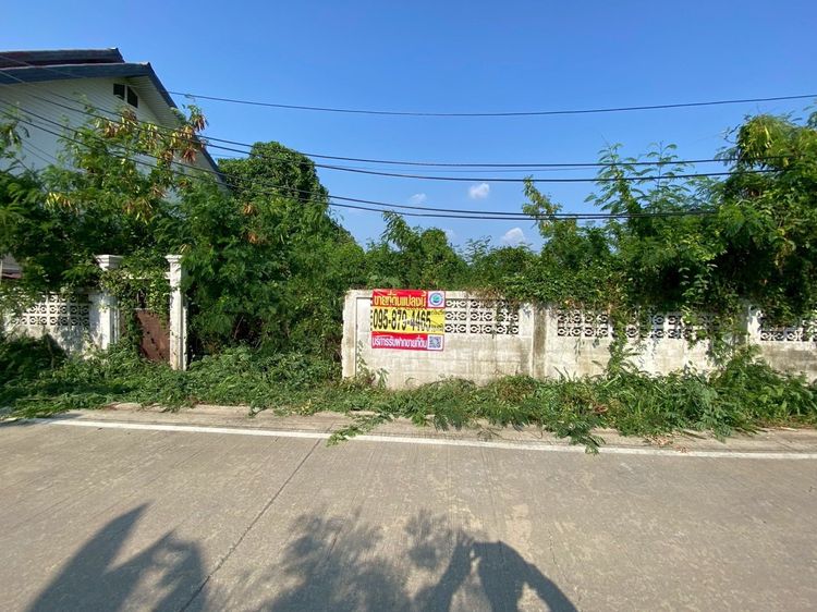 ขายที่ดินอ้อมเกร็ด 77 ตรว ถมและล้อมรั้วเรียบร้อยแล้ว ซ.อ้อมเกร็ด 4-3 อ.ปากเกร็ด จ.นนทบุรี   รูปที่ 3