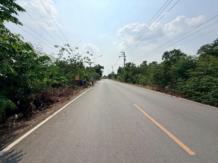 ขายด่วนที่ดิน 846 ตรว ติดถนนสาธารณะ ซ.ประทานพร สามโคก ปทุมธานี รูปที่ 2