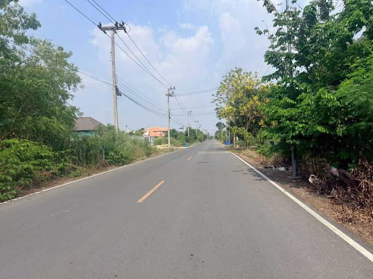ขายด่วนที่ดิน 846 ตรว ติดถนนสาธารณะ ซ.ประทานพร สามโคก ปทุมธานี  รูปที่ 4