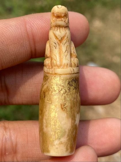 เสือเก่าไม่ทราบที่ รูปที่ 4