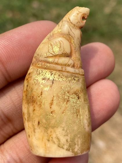 เสือเก่าไม่ทราบที่ รูปที่ 3