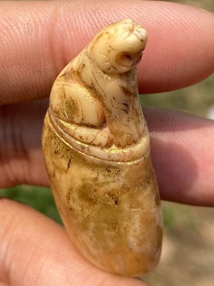 เสือเก่าไม่ทราบที่ รูปที่ 6