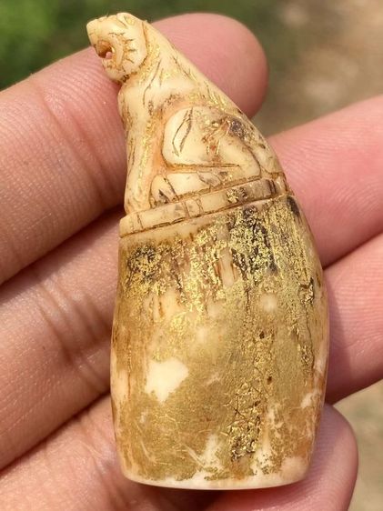 เสือเก่าไม่ทราบที่ รูปที่ 2