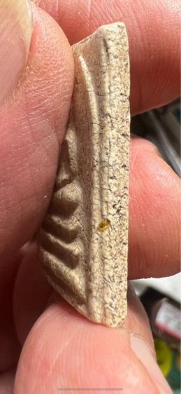 สมเด็จวัดระฆัง เนื้อหาจัดมาก รูปที่ 2