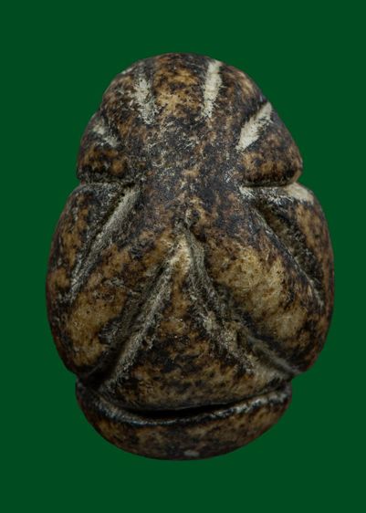 พระปิดตาพิมพ์ปั้นหลวงพ่อแก้ว วัดปากทะเล