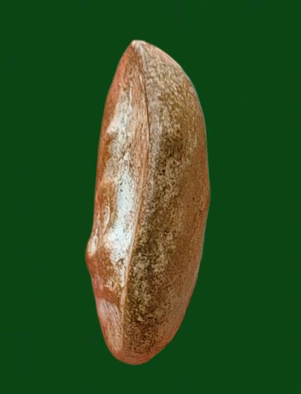 พระนางกำแพงเม็ดมะลื่น รูปที่ 3