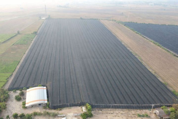 ขายที่ดิน พร้อมโรงเรือนกล้วยไม้43ไร่2งาน นครปฐม เพียงไร่ละ650,000