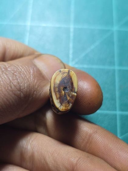 หลวงพ่อปาน รูปที่ 5