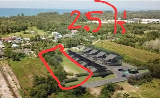  ขายที่ดินลงหาดลงทะเลได้เลยเพียง3นาที  2.5 ไร่ รูปที่ 2