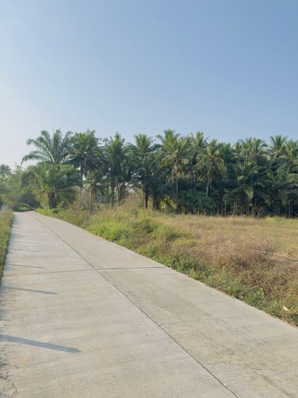 ขายที่ดินวิวเขา เขตเทศบาล ทำเลทอง  รูปที่ 4