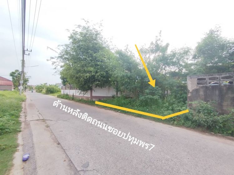 ขายถูกที่ดินเปล่า 100 ตรว. ติดถนนหน้า-หลัง (รูปแปลงยาว)  ใจกลางเมืองสุราษฎร์ธานี รูปที่ 2