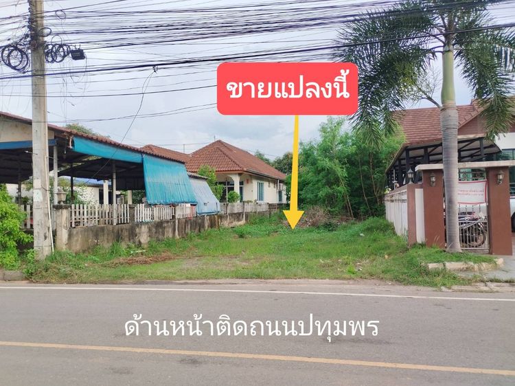 ขายถูกที่ดินเปล่า 100 ตรว. ติดถนนหน้า-หลัง (รูปแปลงยาว)  ใจกลางเมืองสุราษฎร์ธานี
