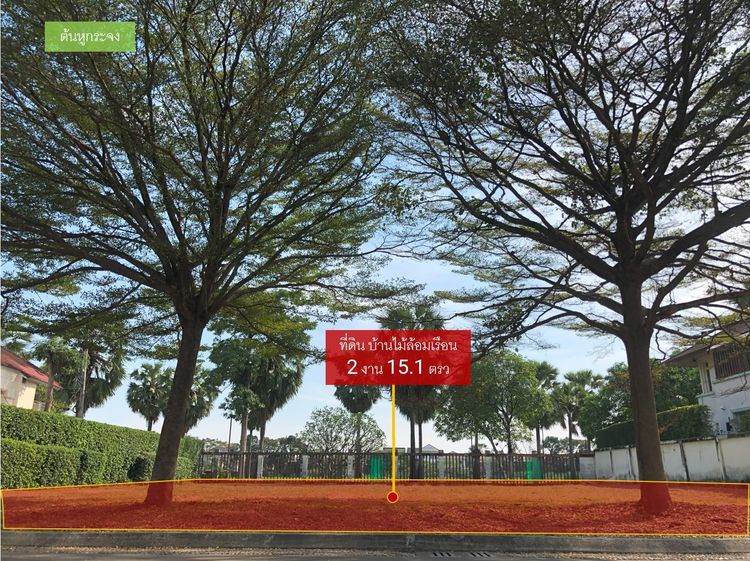 ขายที่ดิน 215 ตรว. บ้านไม้ล้อมเรือน พร้อมพันธุ์ ปาร์ค แปลงมุมสุดท้าย รูปที่ 4