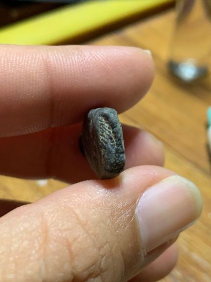 หลวงปู่ศุขเก่า รูปที่ 6