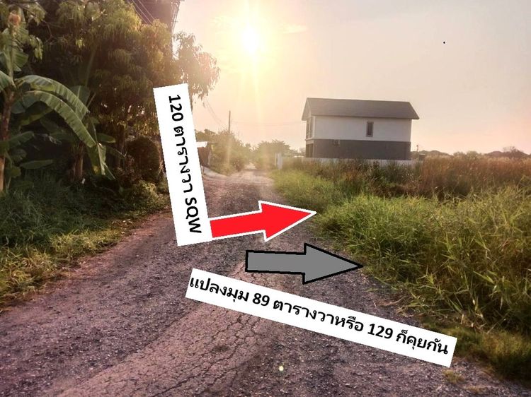 ขายที่ดินแปลงจัดสรร เดิม ปัจจุบันคือยอดทำเล ได้แปลงมุม 89 วา เปิดขายใหม่ แปลงมุมด้วยหาไม่ได้อีกแล้ว 