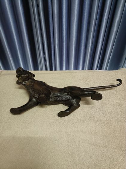 เสือเหล็ก รูปที่ 8