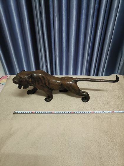 เสือเหล็ก รูปที่ 7