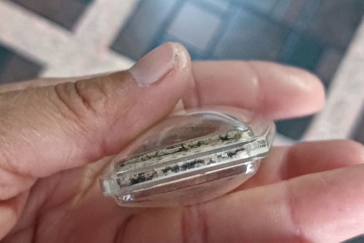 พระสมเด็จกรอบพลาสติก 1 องค์ รูปที่ 5