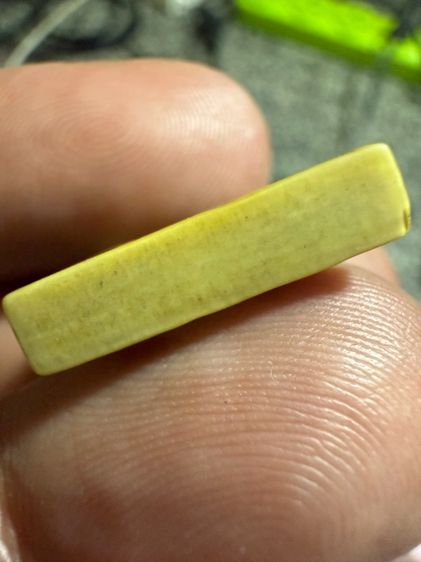 สิงห์หลวงพ่อเดิม รูปที่ 3