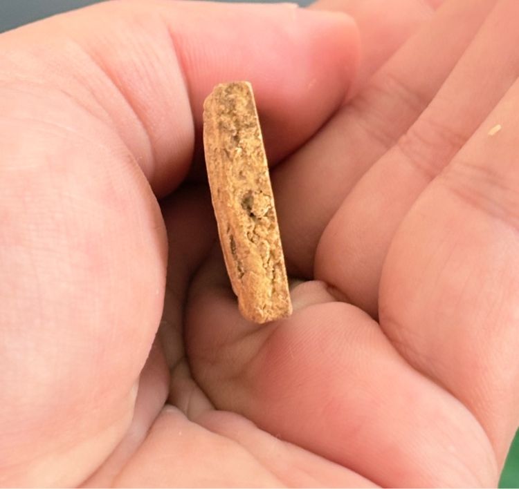 สมเด็จบางขุนพรหม  รูปที่ 6