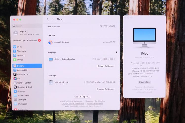 iMac 21.5" Retina 4K Core i5 2019 16-256GB -  ID26030585 รูปที่ 2