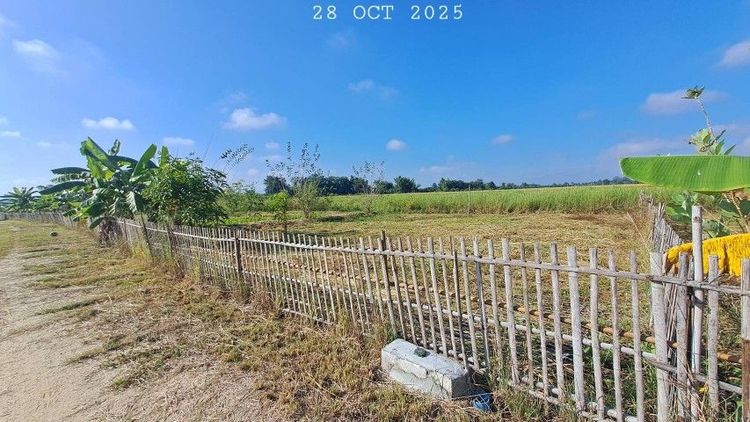 ไม่ใช่ ขายบ่อปลาสวนผสม น้ำประปาไฟฟ้าพร้อมเหมาะทำบ้านสวนริมนา ฟาร์มสเตย์ รูปที่ 4