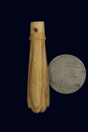 ดอกจำปี รูปที่ 3